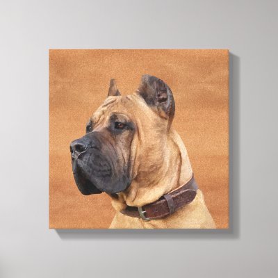 Perro de Presa Canario - Dogo Canario Canvas Print