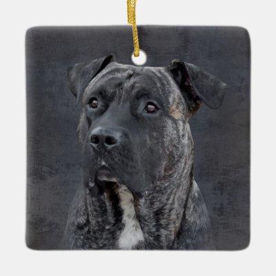 Perro de Presa Canario - Dogo Canario Ceramic Ornament