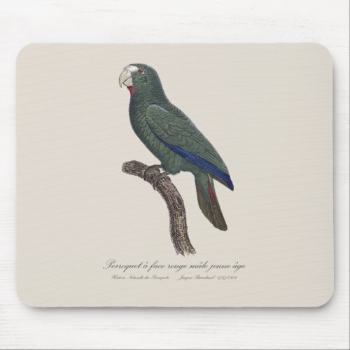 Perroquet face rouge juvenile  Cuban Amazon  Mouse Pad