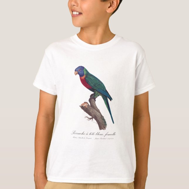 Perruche a tete bleue, femelle / Rainbow lorikeet, T-Shirt (Front)