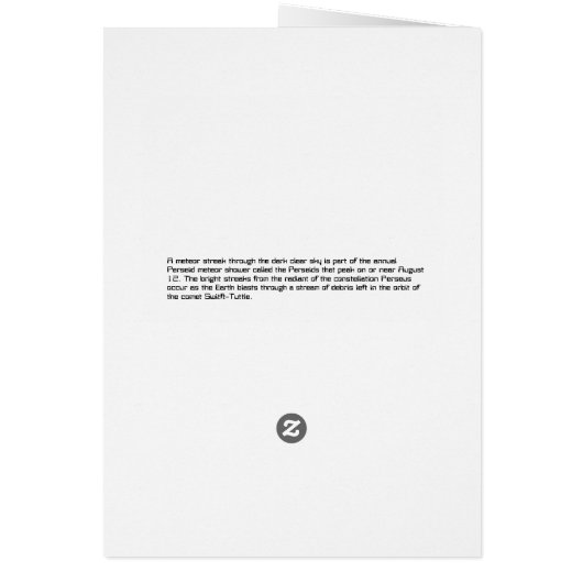 Perseid Meteor Shower (Back)