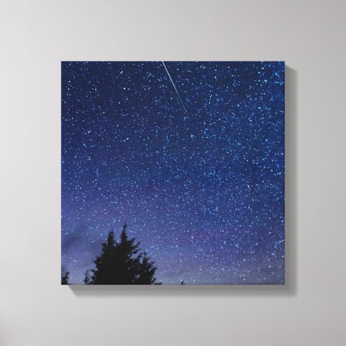 Perseid Meteor Shower Canvas Print