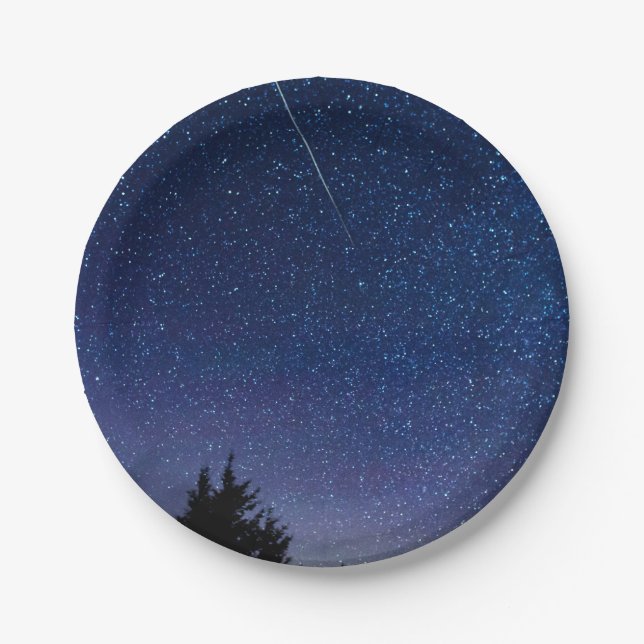 Perseid Meteor Shower Paper Plates (Front)