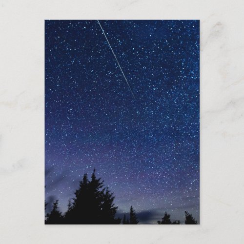Perseid Meteor Shower Postcard