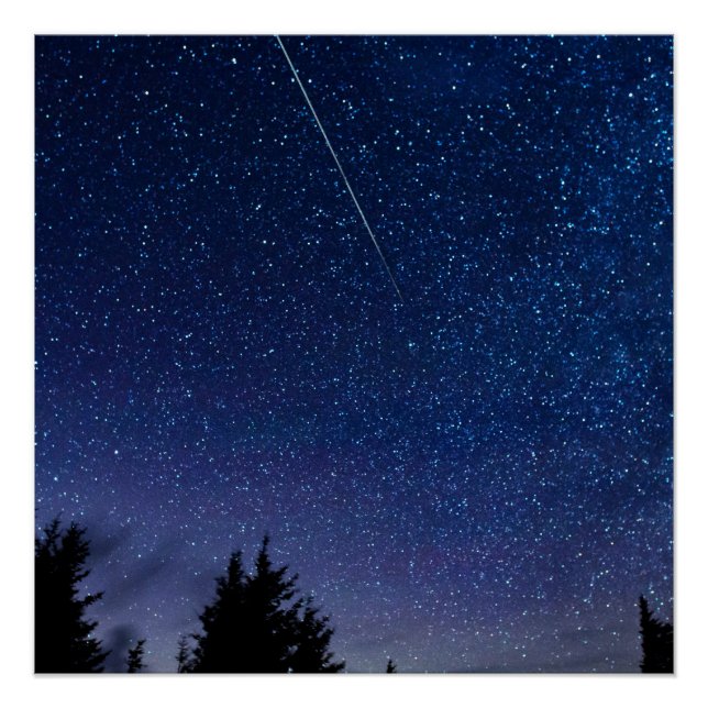Perseid Meteor Shower Poster (Front)