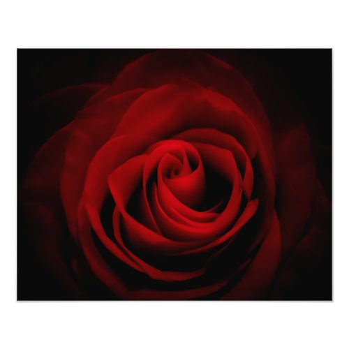 Persephone Dark Red Rose Fine Art Print