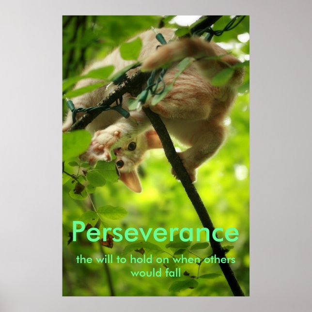 Perserverance Poster (Front)
