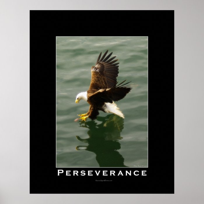 PERSEVERANCE Bald Eagle Motivational Art Poster