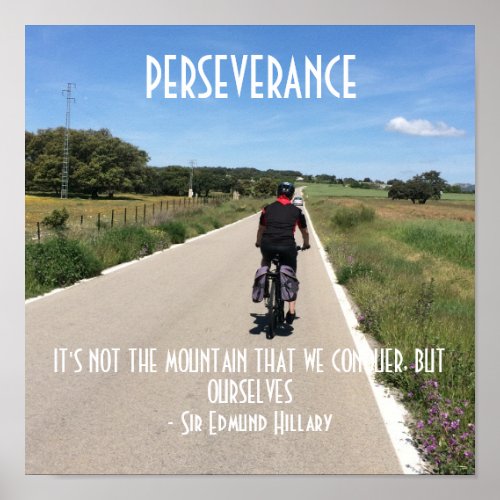Perseverance Biking Motivational Quote Poster