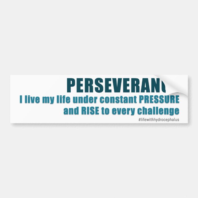 Perseverance Bumper Sticker (Front)