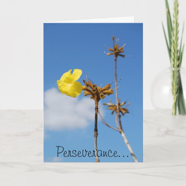 Perseverance Card (Front)