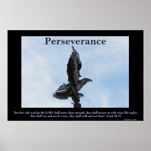 Perseverance Eagle Sculpture Poster