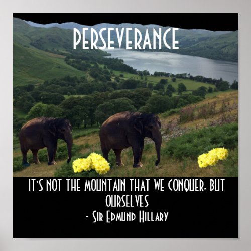 Perseverance Elephants Motivational Quote Poster