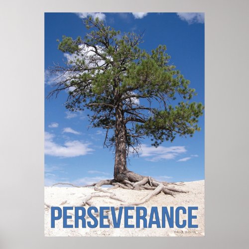 Perseverance Tree Motivational Poster