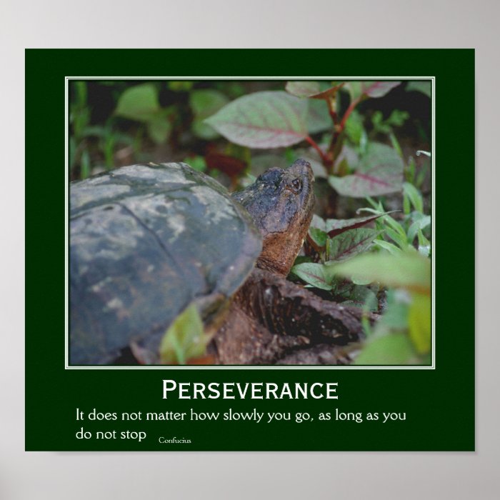 Perseverance Turtle Motivational Poster