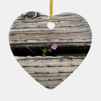 Perseverence Ceramic Ornament by northwest_photograph at Zazzle
