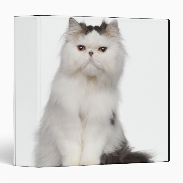 Persian (10 months old) sitting binder (Front/Spine)