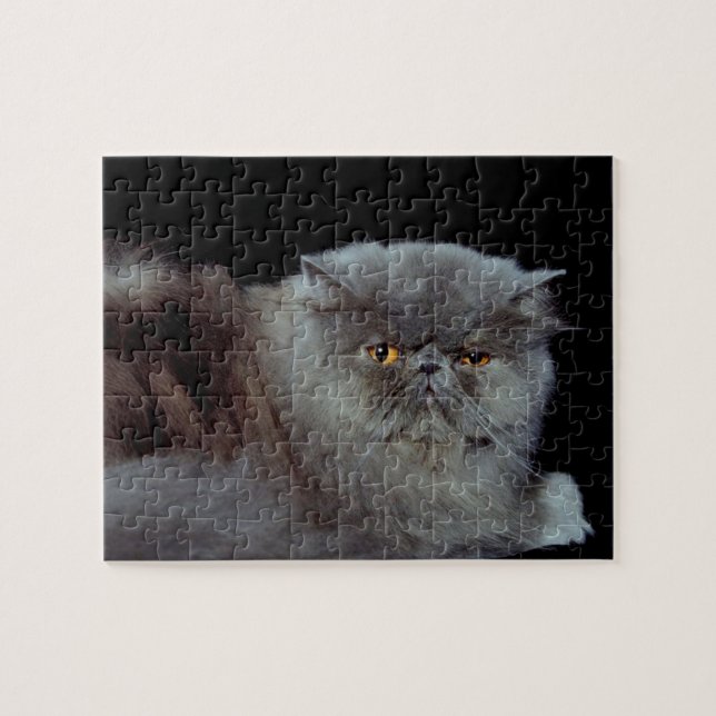Persian Blue cat Jigsaw Puzzle (Horizontal)