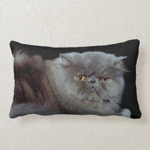 Persian Blue Lumbar Pillow