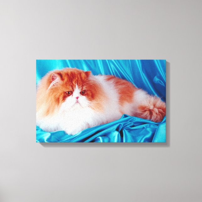 Persian cat canvas print (Front)
