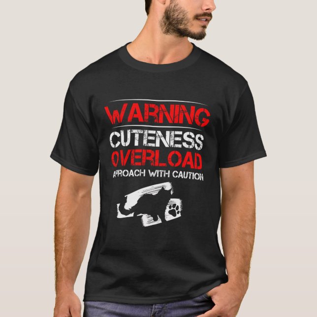 Persian Cat Cat Lover Cat Owner Persian Longhair C T-Shirt (Front)