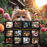 Persian Cat Charm All Year Long 20XX Calendar<br><div class="desc">Bask in the beauty of Persian cats with this enchanting 2025/2026 calendar. Each month captures a luxurious feline in a picturesque seasonal setting—whether curled up by a fire, lounging in a sunny nook, or watching the snowfall outside. These cats exude elegance and comfort, making every scene a peaceful escape. Soft...</div>