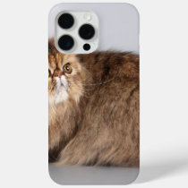 Persian Cat Cover for iPhone 15 Pro Max