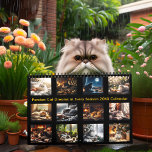 Persian Cat Dreams in Every Season 20XX Calendar<br><div class="desc">Indulge in the peaceful charm of Persian cats with this beautifully designed 2025/2026 calendar. Each month highlights a luxurious feline enjoying the comforts of the season, from a golden afternoon nap to a candlelit library retreat. Their flowing fur, expressive eyes, and serene surroundings make for a heartwarming display of feline...</div>