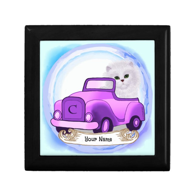 Persian Cat Driving Car  Gift Box (Front)