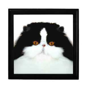 Persian cat face jewelry box