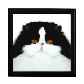 Persian cat face jewelry box