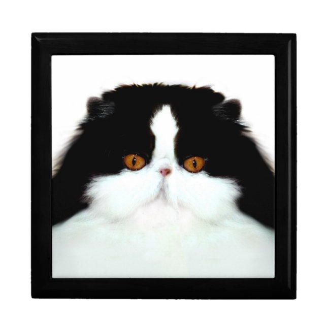 Persian cat face jewelry box (Front)