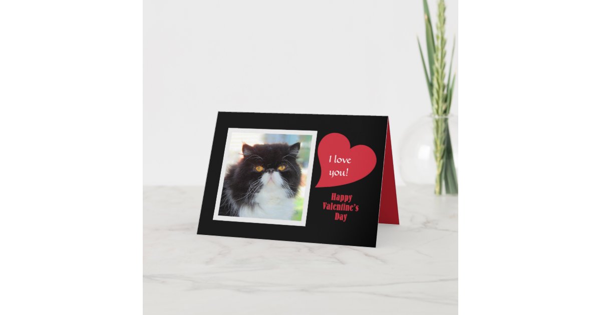 Persian Cat I Love You Valentine Holiday Card Zazzle Com