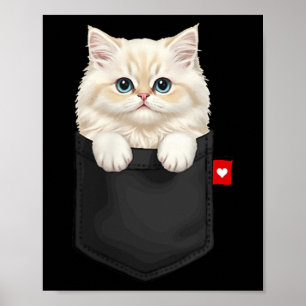 Persian Cat In Poc Peeking Cute Kitten Cat Poster