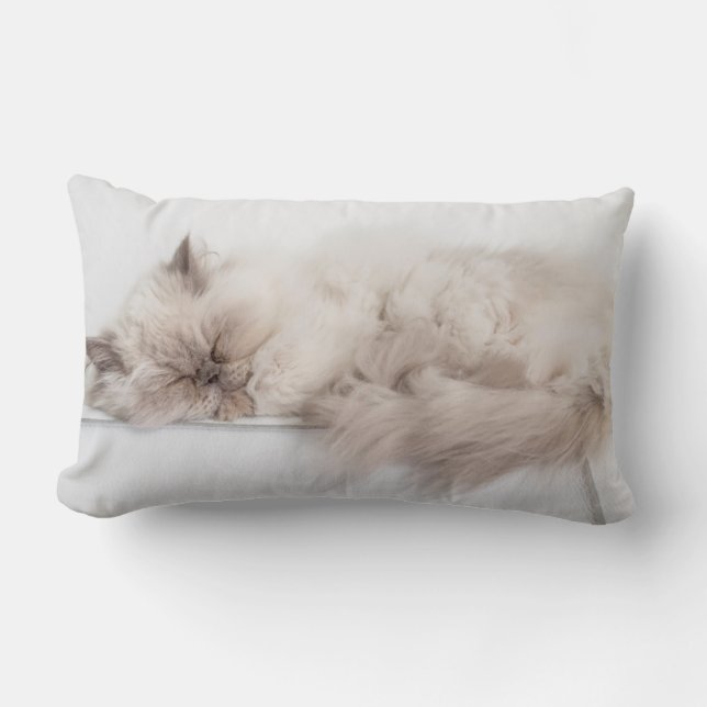 Persian Cat Lumbar Pillow (Front)