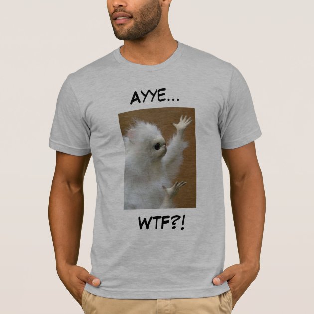 persian cat meme shirt