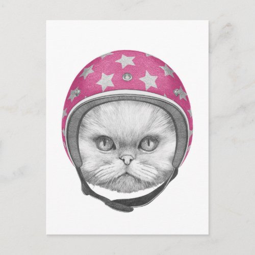 Persian Cat Motorcycle Rider Postcard