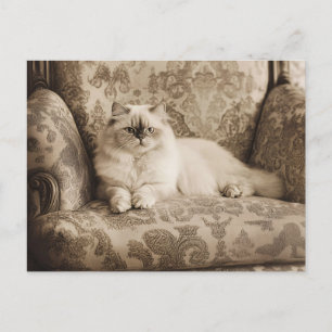 Persian Cat on a Sofa Vintage Style Postcard