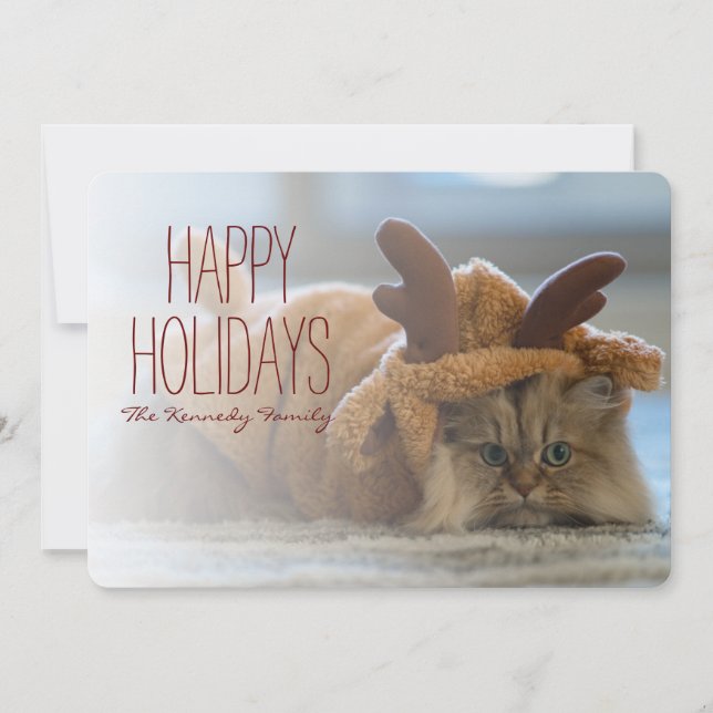 Persian cat on carpet in reindeer costume holiday card (Front)