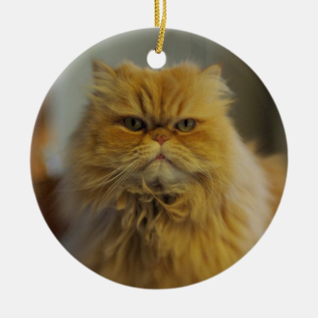 Persian Cat Ornament (Front)