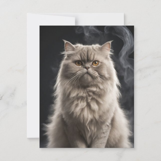 Persian Cat Pet Animal Elegant Dramatic Portrait  Note Card (Front)