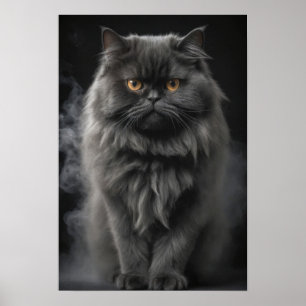 Persian Cat Pet Animal Elegant Dramatic Portrait Poster