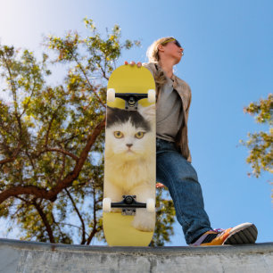 Persian Cat Puppy Skateboard