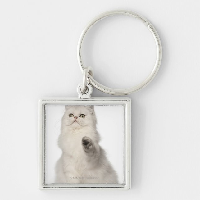 Persian cat sitting keychain (Front)