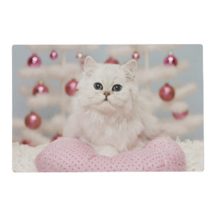 Persian cat sitting on pink pillow placemat