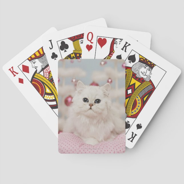 Persian cat sitting on pink pillow poker cards (Back)