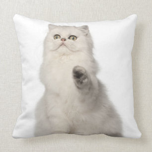 Persian cat sitting throw pillow