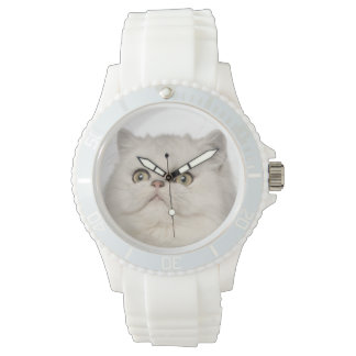 persian_cat_sitting_watch-rd7d316b18cb44bbabe2cdf53c46974e3_zd5zt_324.jpg?rlvnet=1