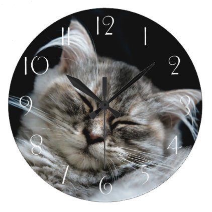 Persian cat sleeping large clock