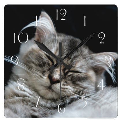 Persian cat sleeping square wall clock